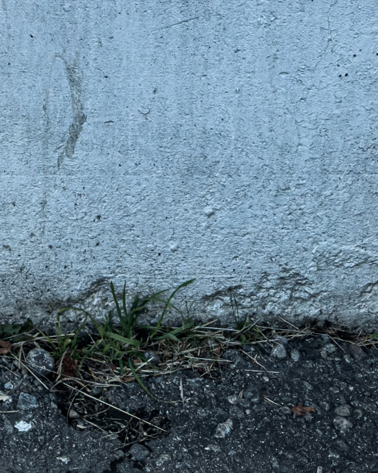 Ground and base of a concrete wall with sparse vegetation in Zeltweg.